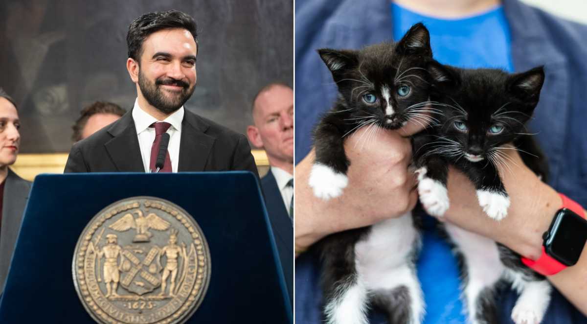 Animal welfare leaders urge Mamdani to step up for New York City’s pets