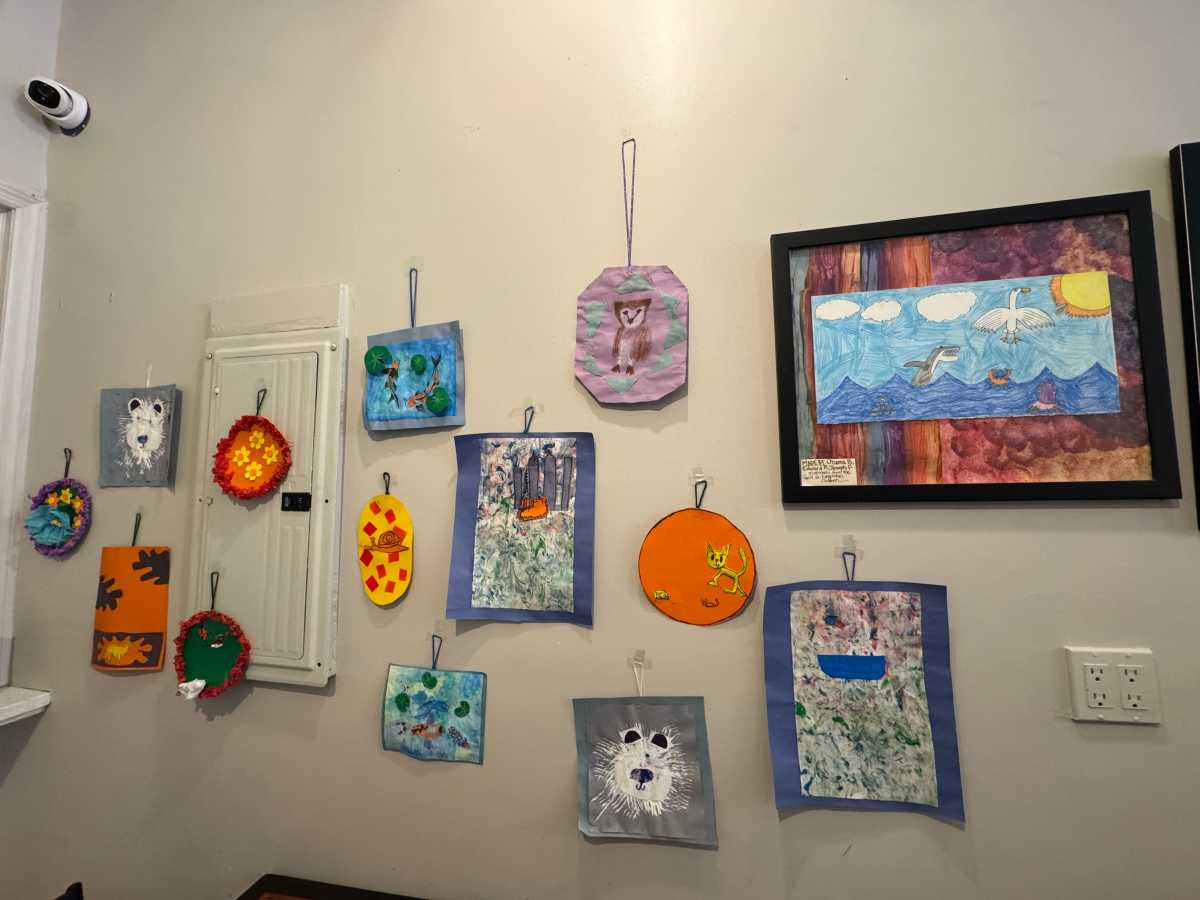 ‘Embrace Winter’: 14th annual Bay Ridge Art Walk draws crowds to Third Avenue