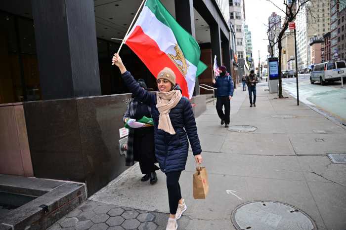 person waving iranian flag