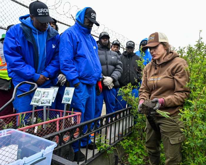 NY:  4.5 million green jobs pilot program