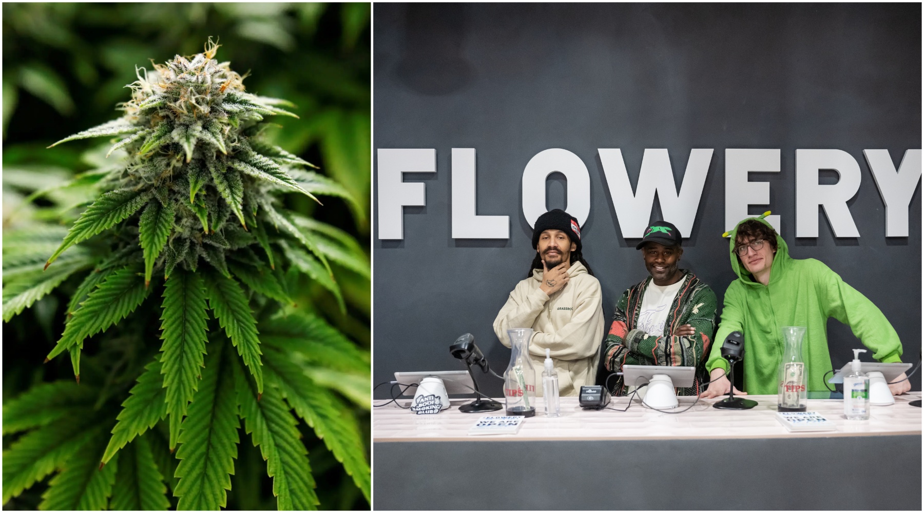 marijuana in brooklyn history