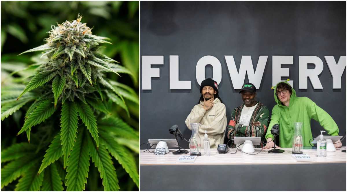 marijuana in brooklyn history