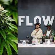 marijuana in brooklyn history