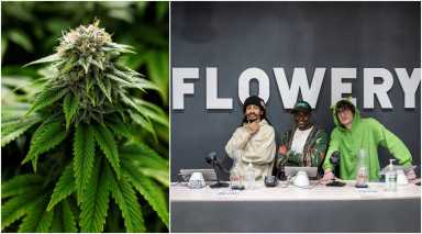 marijuana in brooklyn history