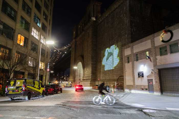 DUMBO Projection Project