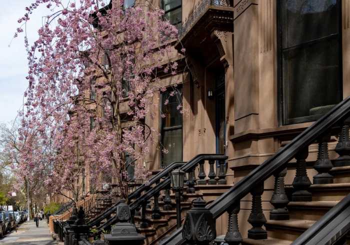 park-slope-brownstones-april2024-sdevries-1-ezgif.com-webp-to-jpg-converter